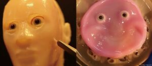 Crean “piel viva” que se adhiere y regenera como la humana