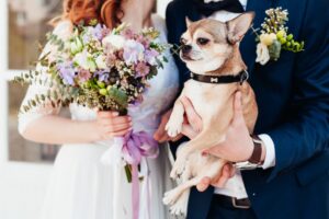 En EEUU tu propio perro puede ser testigo legal de tu boda