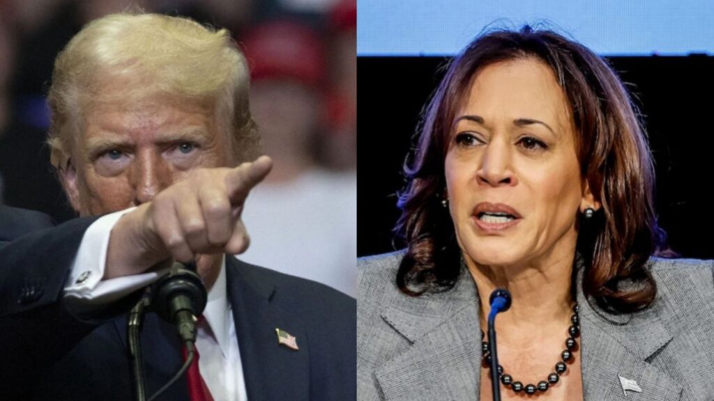 avalancha de desinformación, las celebridades, Trump llama a Kamala Harris "maliciosa y tonta"
