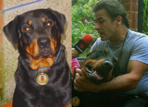 Orión, el perro que salvó a más de 30 personas y tiene una estatua en su honor