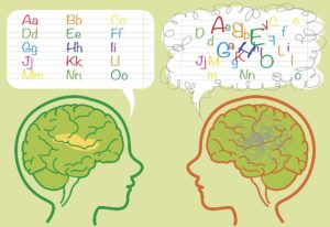 Investigadores alemanes descubren la causa subyacente de la dislexia
