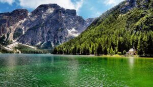 Excursionista descubre un ecosistema prehistórico completo