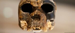 Identifican al Homo juluensis como una posible nueva especie humana