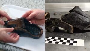 Hallan un “zueco urbano único” de más de 500 años de antigüedad 