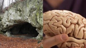 Los guerreros se comían los cerebros de sus enemigos hace 18,000 años 