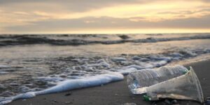 Científicos japoneses desarrollan un plástico que se descompone en el océano y en la tierra