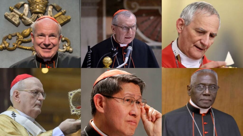 Ellos son los cardenales que están listos para ser sucesores del papa Francisco 