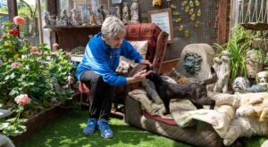 Mujer de 90 años que ha dedicado más de medio siglo a rescatar animales