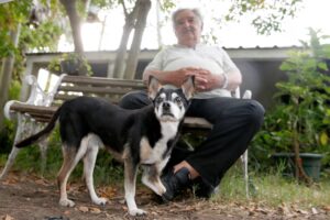 Manuela, la perra de tres patas que marcó la vida y despedida de José Mujica
