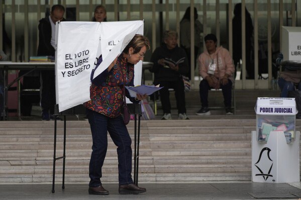 elecciones judiciales