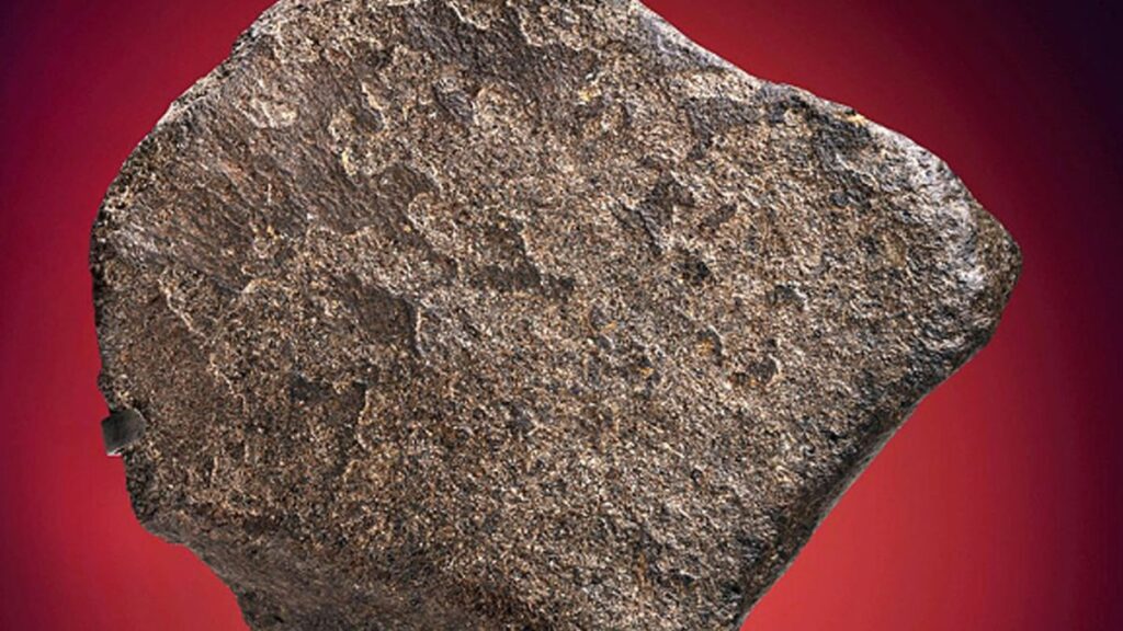 meteorita