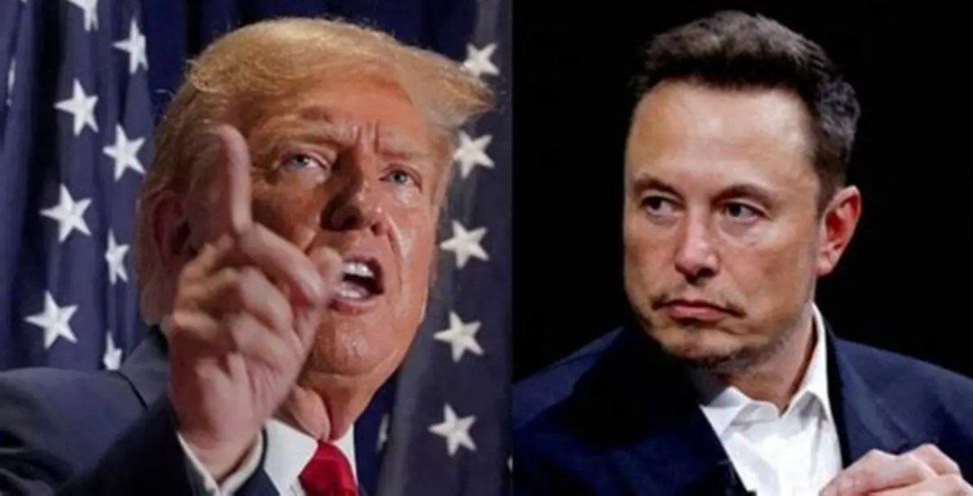 analizar la deportación