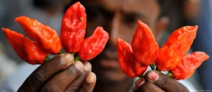 Comer picante frecuentemente: beneficios para corazón y cerebro