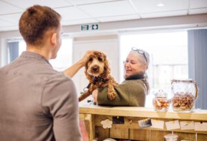 Hotel en China permite a huéspedes dormir con perros adoptables