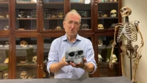 Descubrimiento de un cráneo de más de 300 mil años reescribe la historia