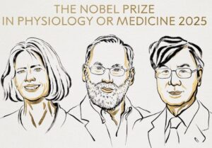 Premio Nobel de Medicina 2025 es para tres científicos que descubrieron cómo controlar el sistema inmunológico 
