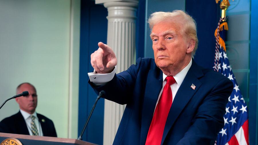 cerdita, fentalino, trump