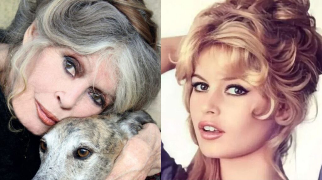 Brigitte Bardot