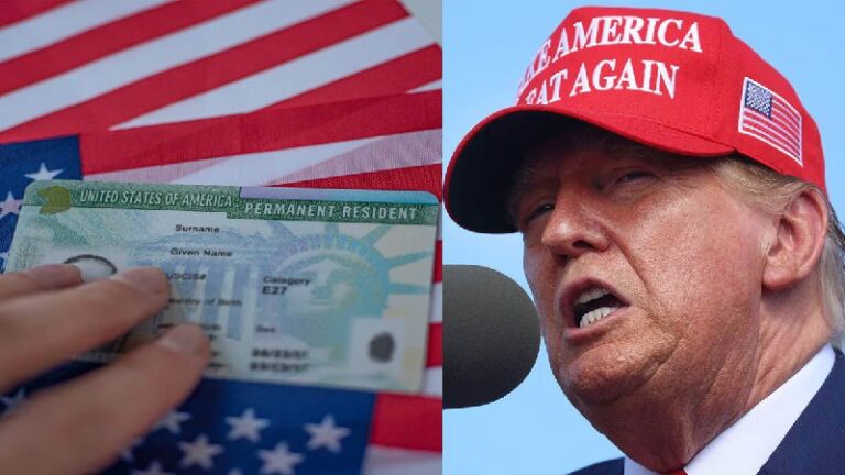 trump, green card, card
