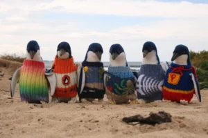 El hombre más longevo de Australia que tejía suéteres para salvar pingüinos