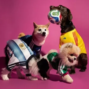 Adidas lanza camisetas para perros inspiradas en el Mundial 2026