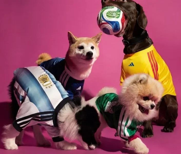 Adidas lanza camisetas para perros inspiradas en el Mundial 2026