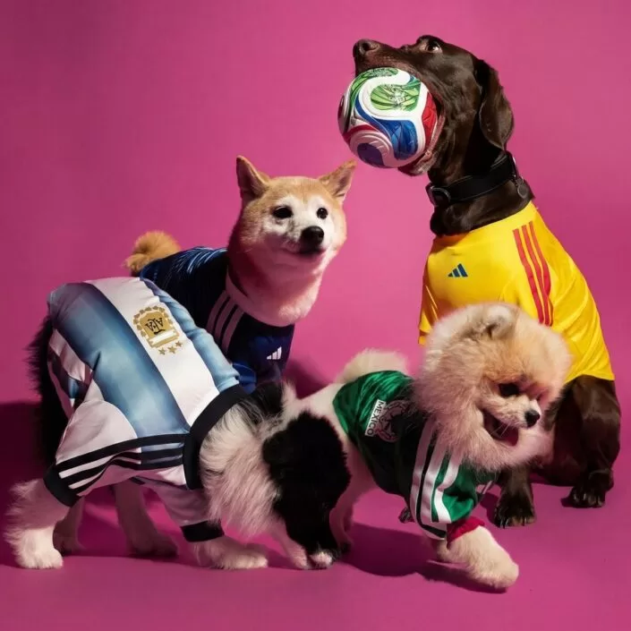 Adidas perros