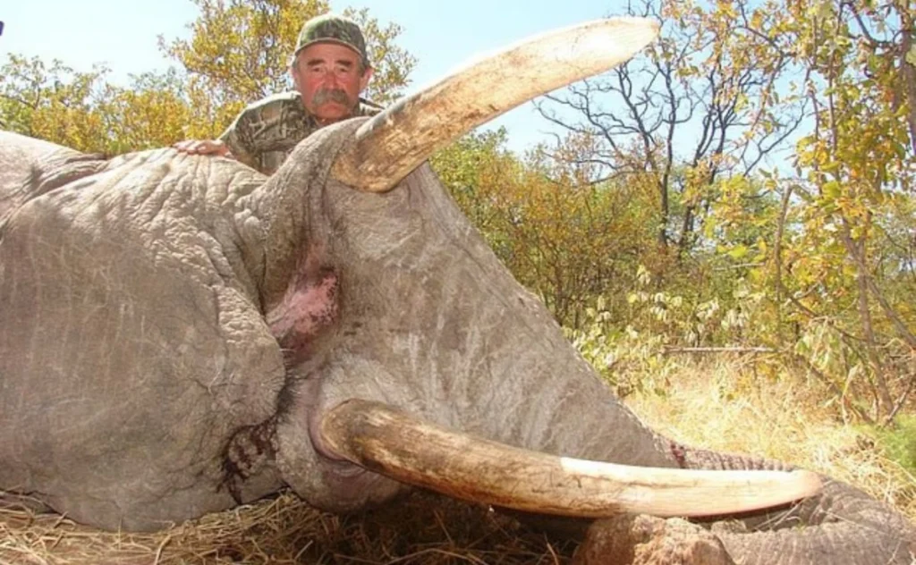elefantes cazador