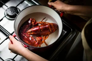 Estudio científico concluye que las langostas sienten dolor y reabre debate sobre su preparación culinaria