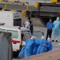 El hantavirus pone en alerta al mundo