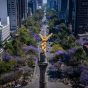La Ciudad de México se hunde a un ritmo alarmante visible desde el espacio