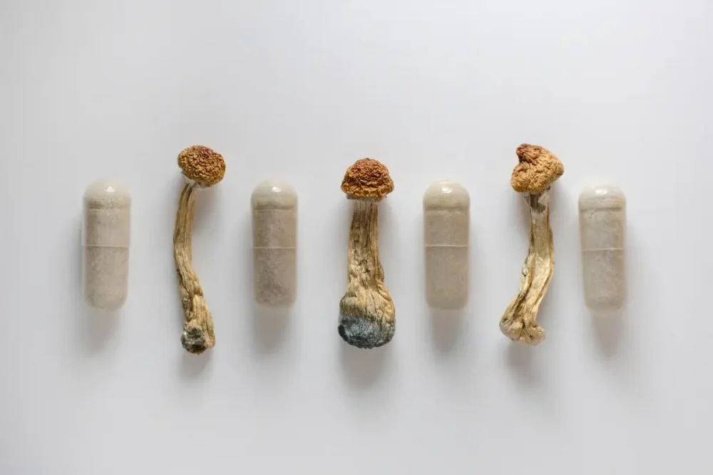 Three dried mushrooms alternating with four translucent capsules filled with powder, arranged horizontally on a white background.