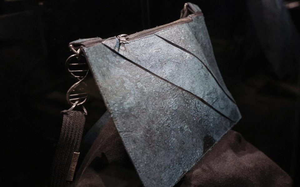 Subastan en París un bolso elaborado con células de T-Rex