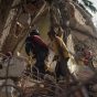 Venezuela: Los días pasan, pero el dolor aumenta con casi 5,000 muertos 