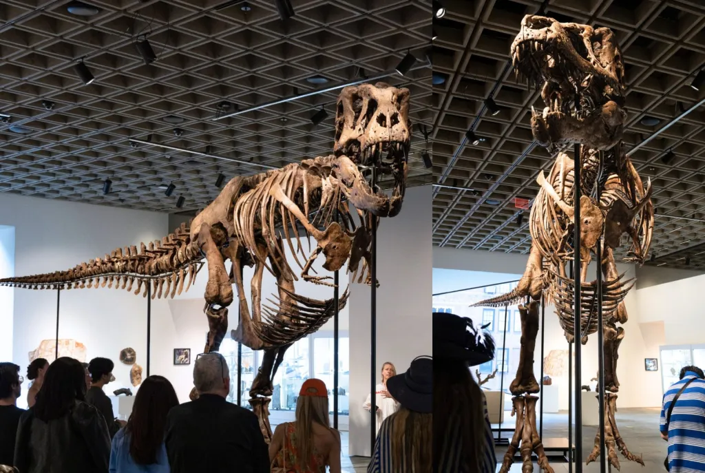 Trex